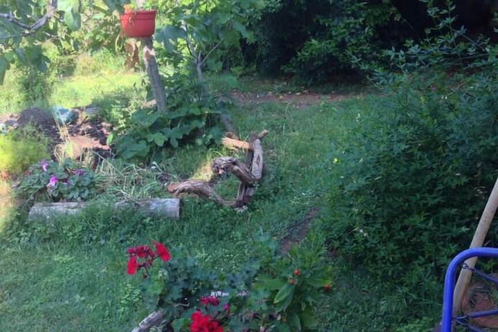 Property Grounds 16 of 22
