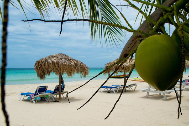 Beach 60 of 81