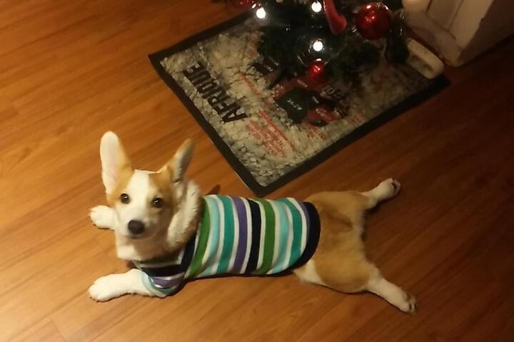 Photo 22