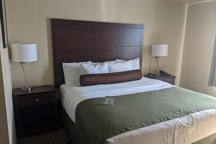 1 King Bed