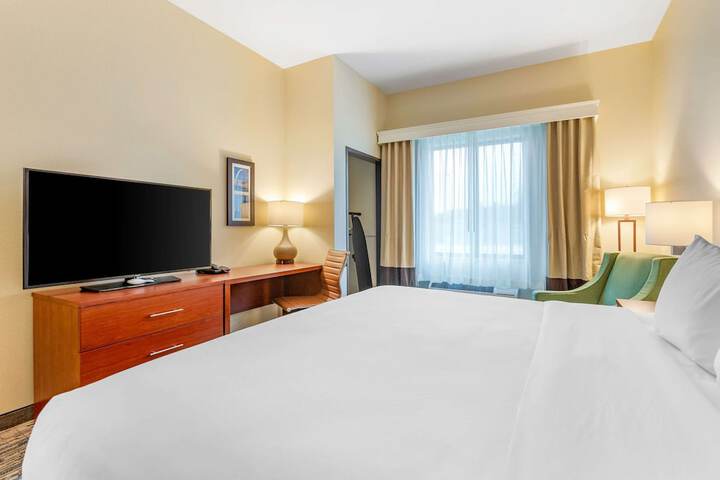 Standard | King Bed (4 of 26)