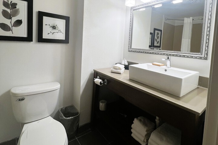 1 King Bed Accessible (6 of 16)