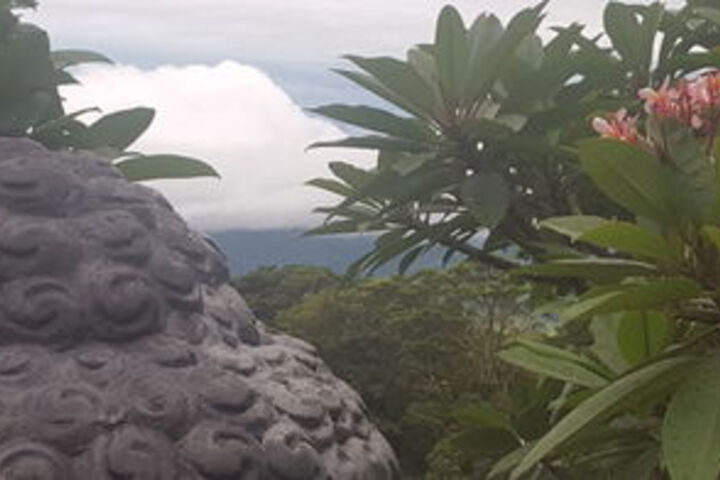 Property Grounds 38 of 43