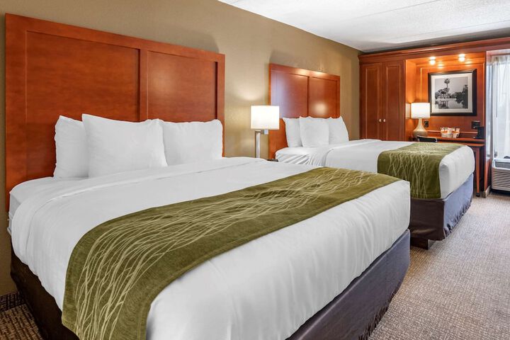 Queen Bed Accessible (2 of 10)