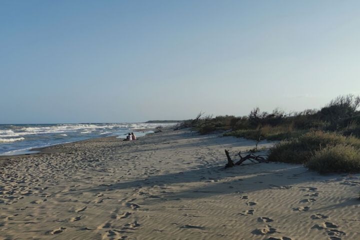 Beach 102 of 127