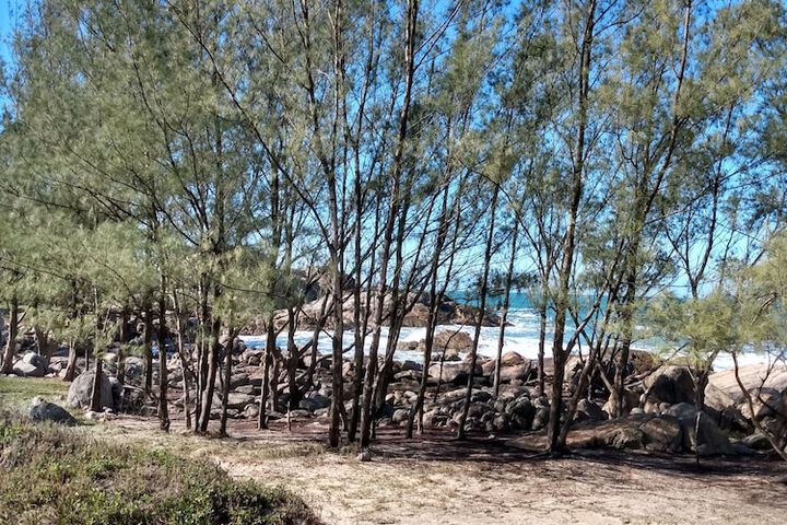 Beach 48 of 57