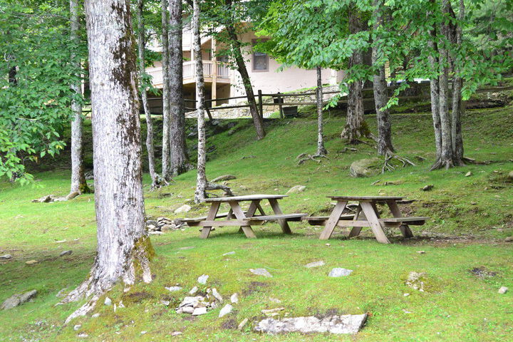 Property Grounds 7 of 20