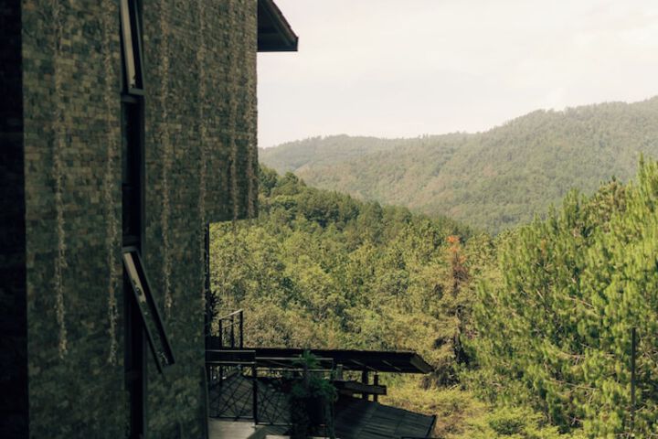 Property Grounds 199 of 250