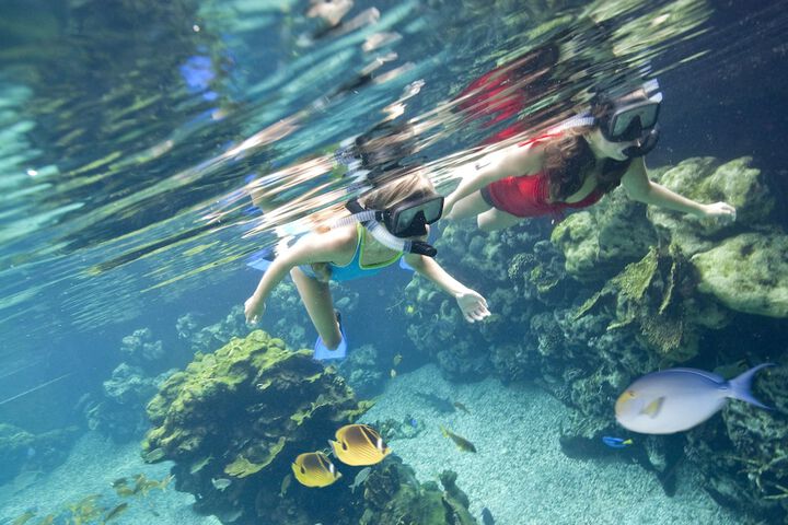 Water Sports 51 of 128