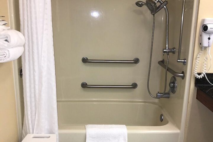 1 King Bed Accessible (6 of 10)