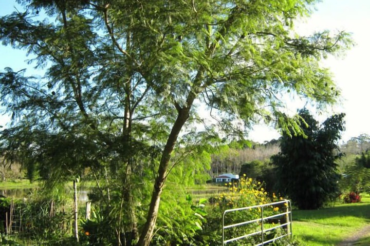 Property Grounds 17 of 29