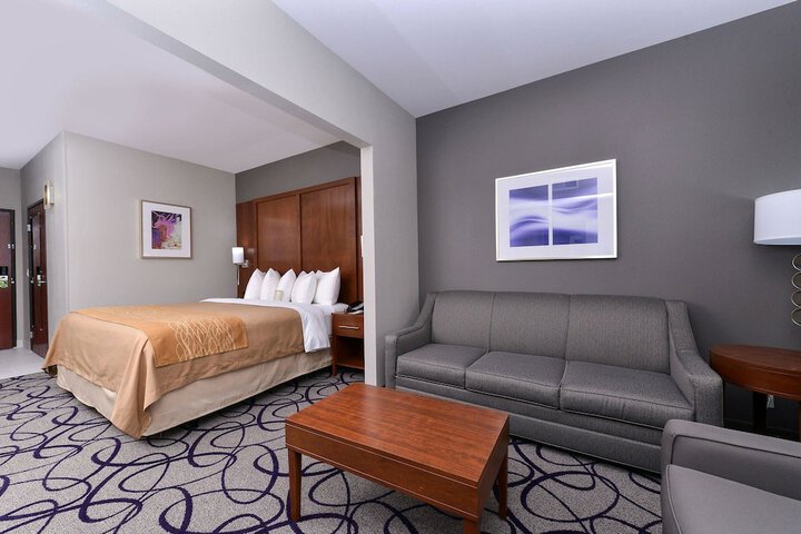 1 King Bed Suite (2 of 13)