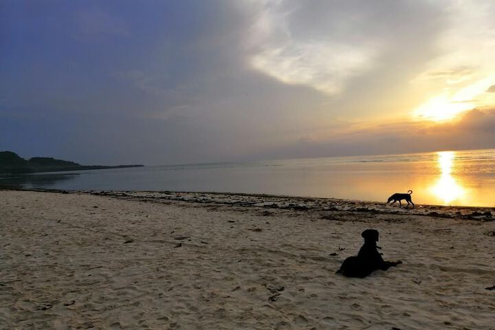 Beach 16 of 22