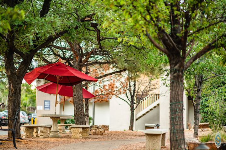 BBQ/picnic area
