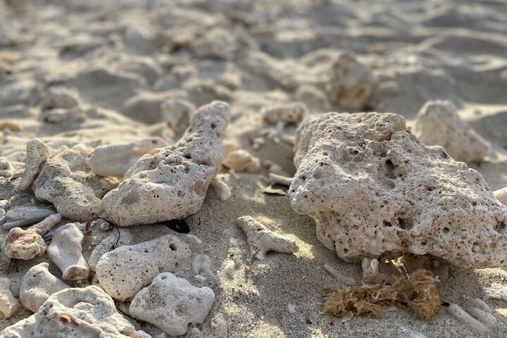 Beach 75 of 88