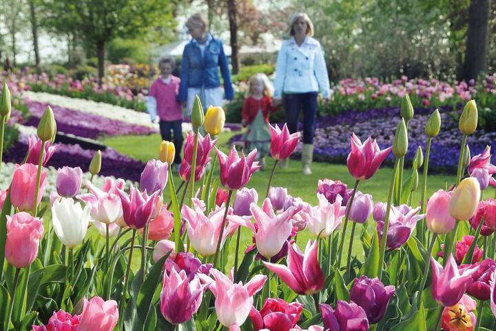 General 50 of 68