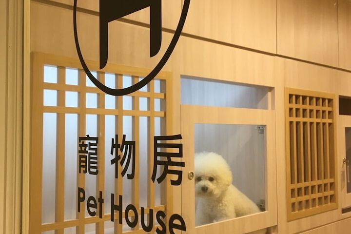Pet Friendly 34 of 72