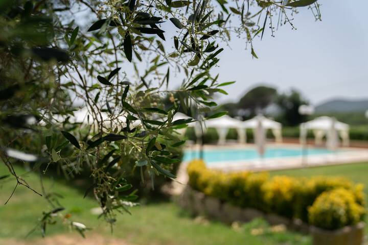 Pool 53 of 87