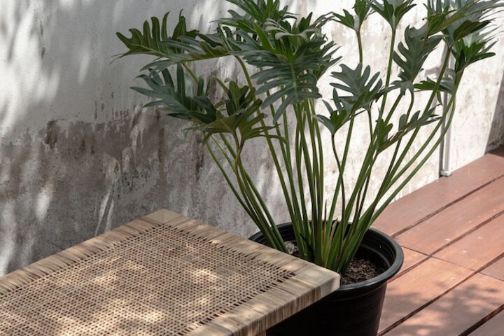 Terrace/Patio 31 of 47