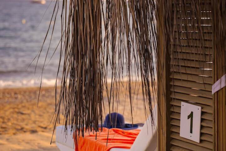 Beach 270 of 321