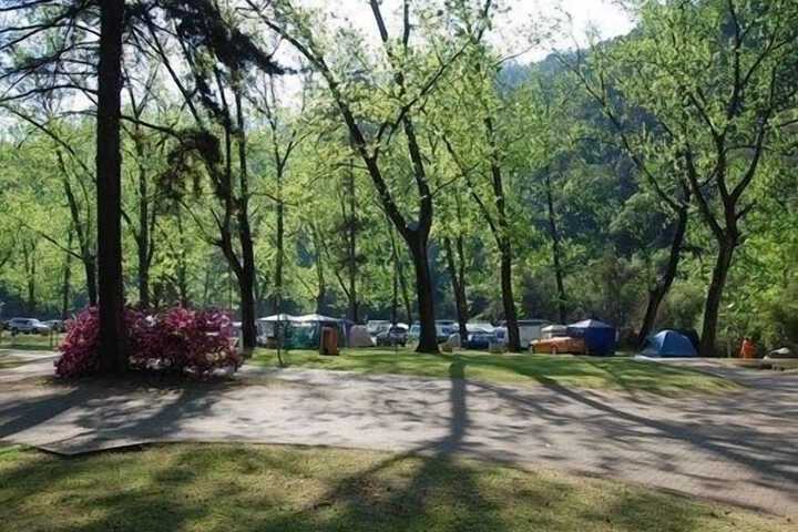 Property Grounds 109 of 128