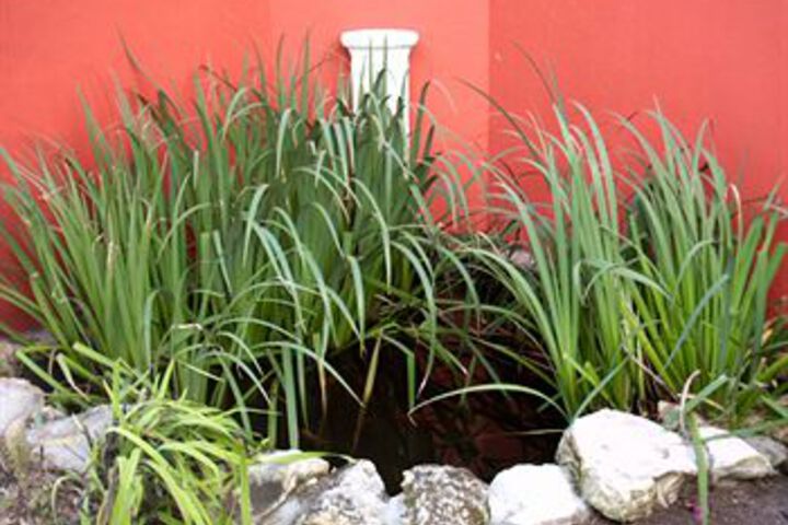 Hotel Exterior 5 of 26