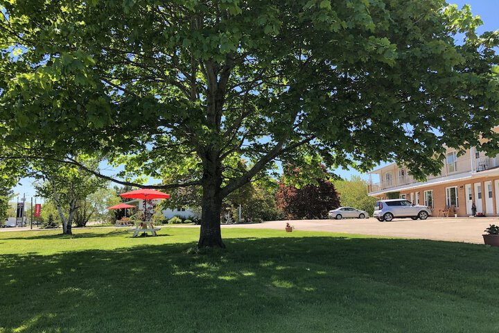 Property Grounds 52 of 70