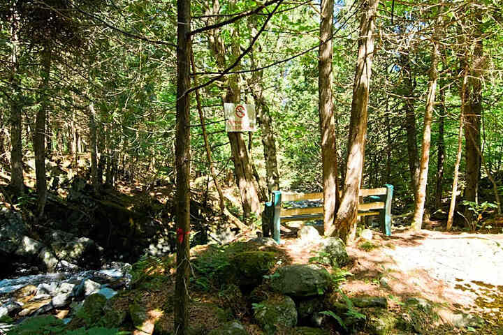 General 16 of 50