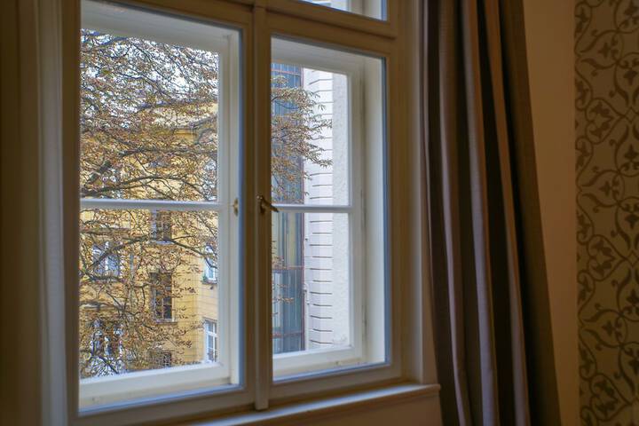 View from room