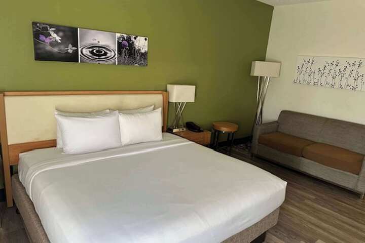 1 King Bed Accessible (14 of 15)