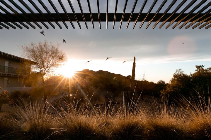 View from property