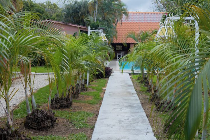 Hotel Exterior 34 of 38