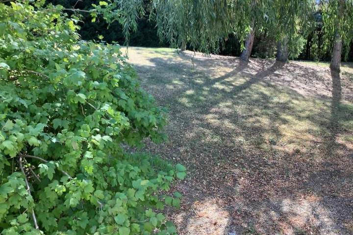 Property Grounds 61 of 71