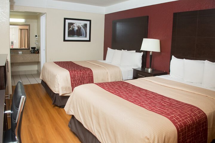 2 Rooms Suite 2 Double Beds Kitchen (13 of 14)