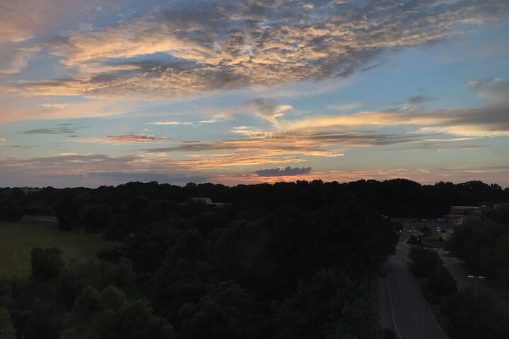 View from property