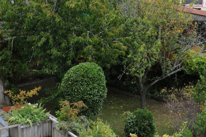View from room