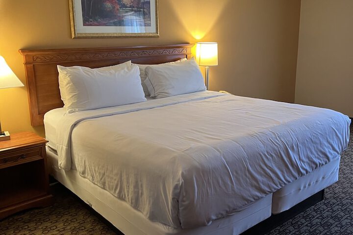 Standard | King Bed (1 of 27)