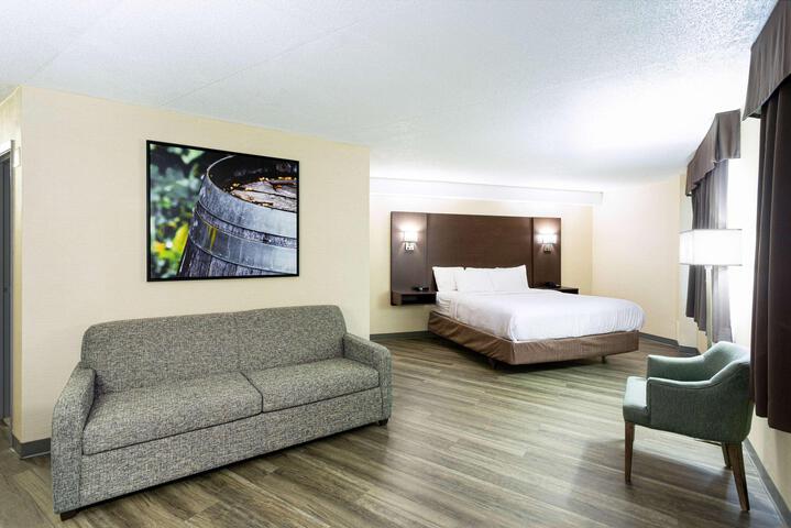 1 King Bed (3 of 14)