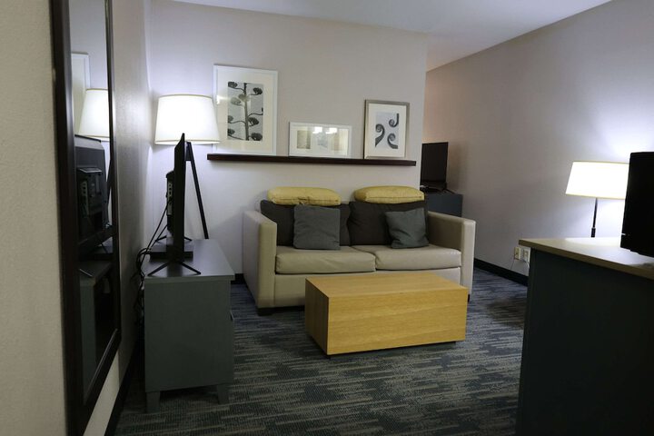1 King Bed Accessible (8 of 16)