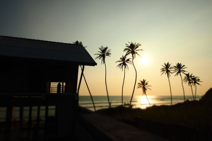 The Seascape