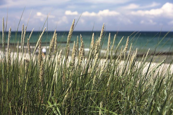 Beach 70 of 85