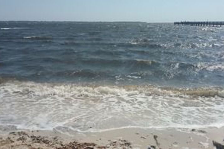 Beach 8 of 40