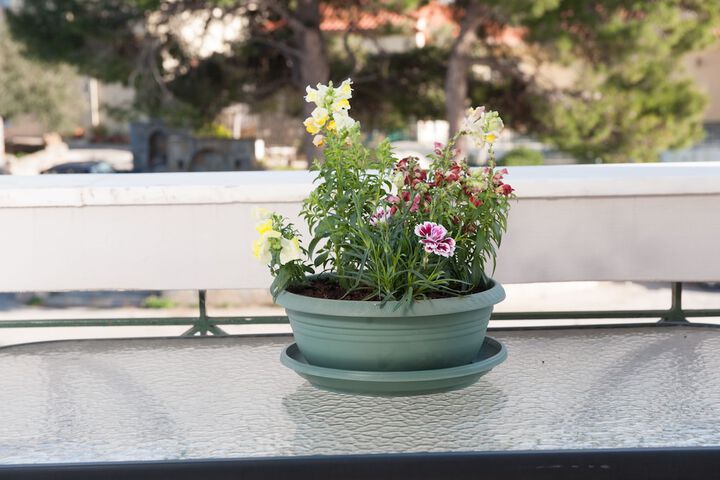 Terrace/Patio 86 of 131