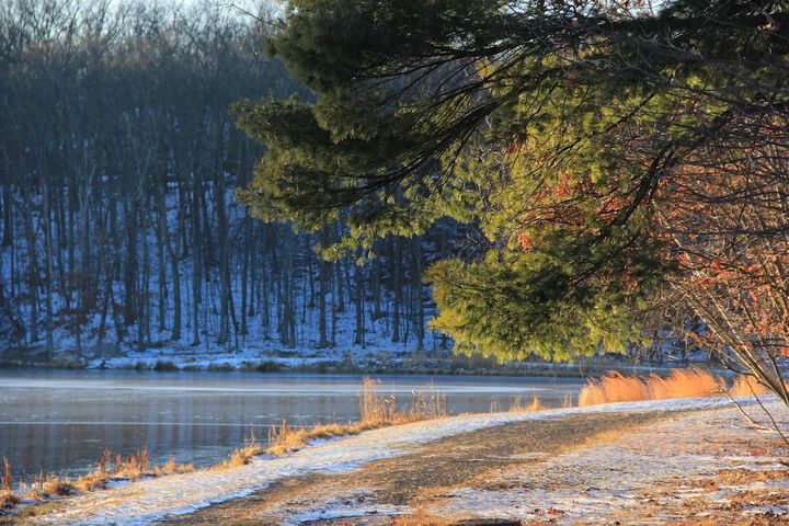 Property Grounds 33 of 35