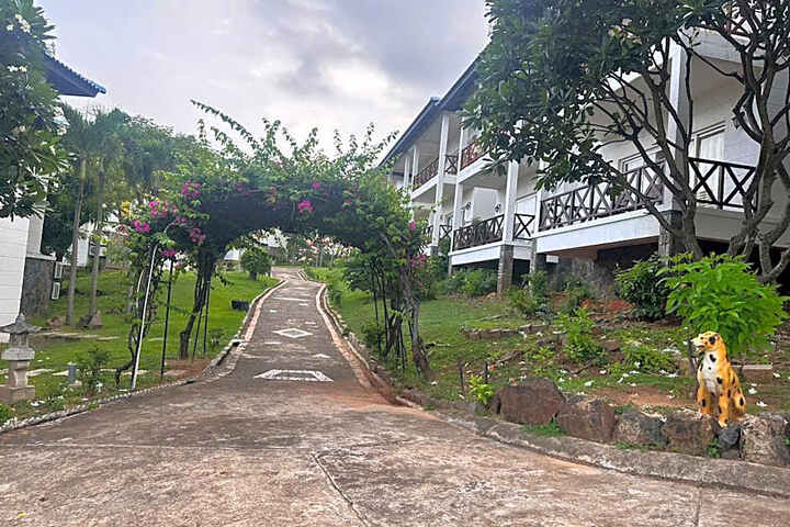 Photo 14