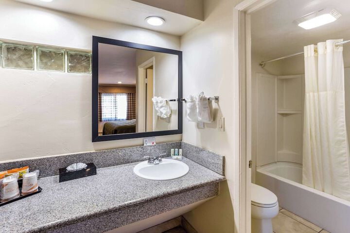 1 King Bed Accessible Upgrade (17 of 26)
