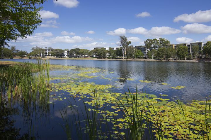 Lake