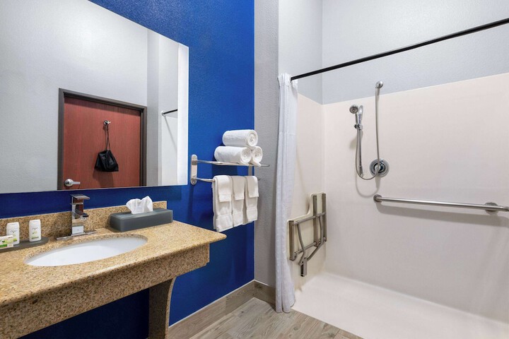 1 King Bed Accessible Room Tub with Grab Bars (17 of 23)