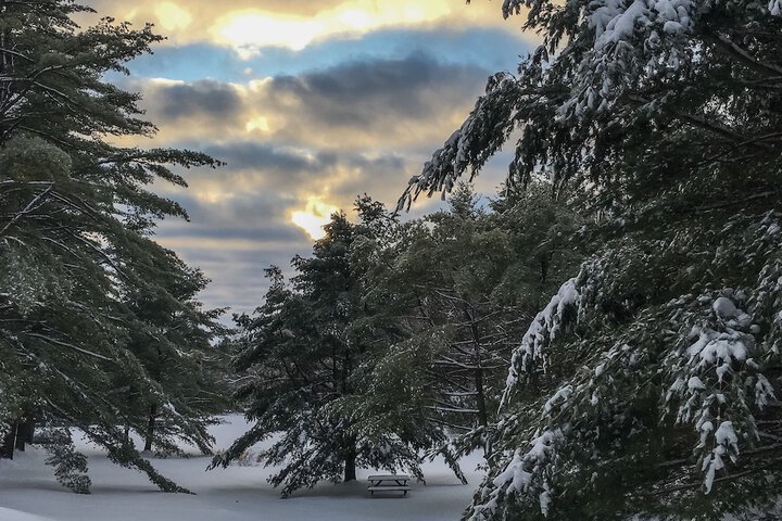 Property Grounds 11 of 18