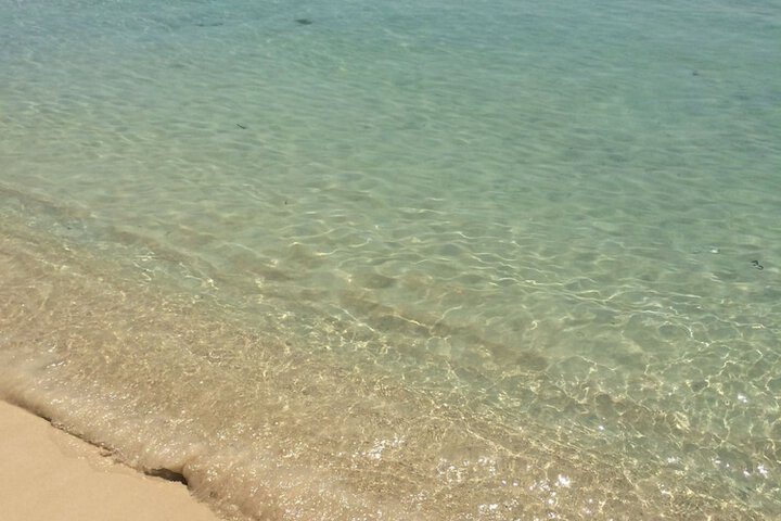 Beach 98 of 125